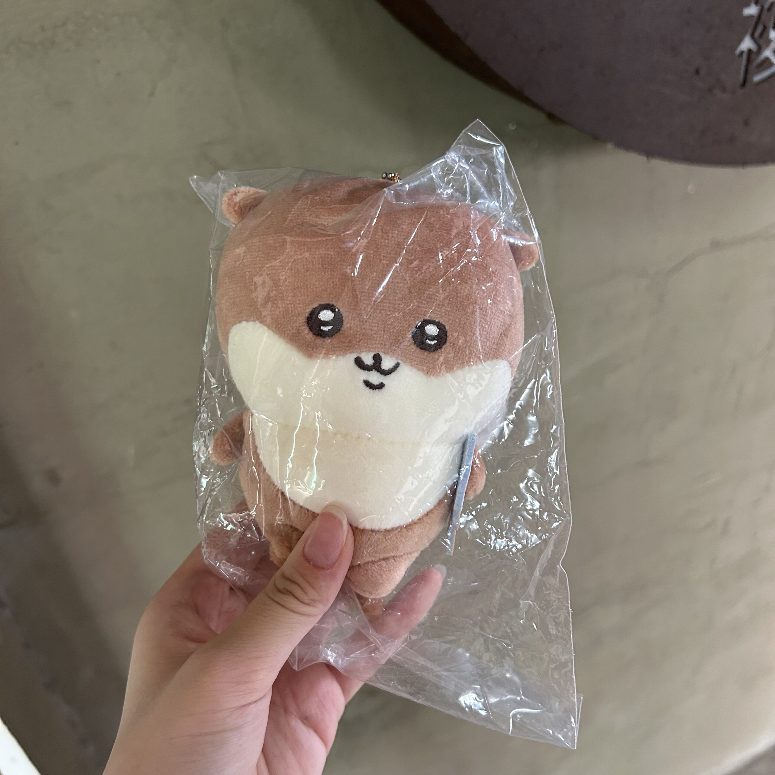 現貨★自嘲熊★海獺一番賞 吊飾娃