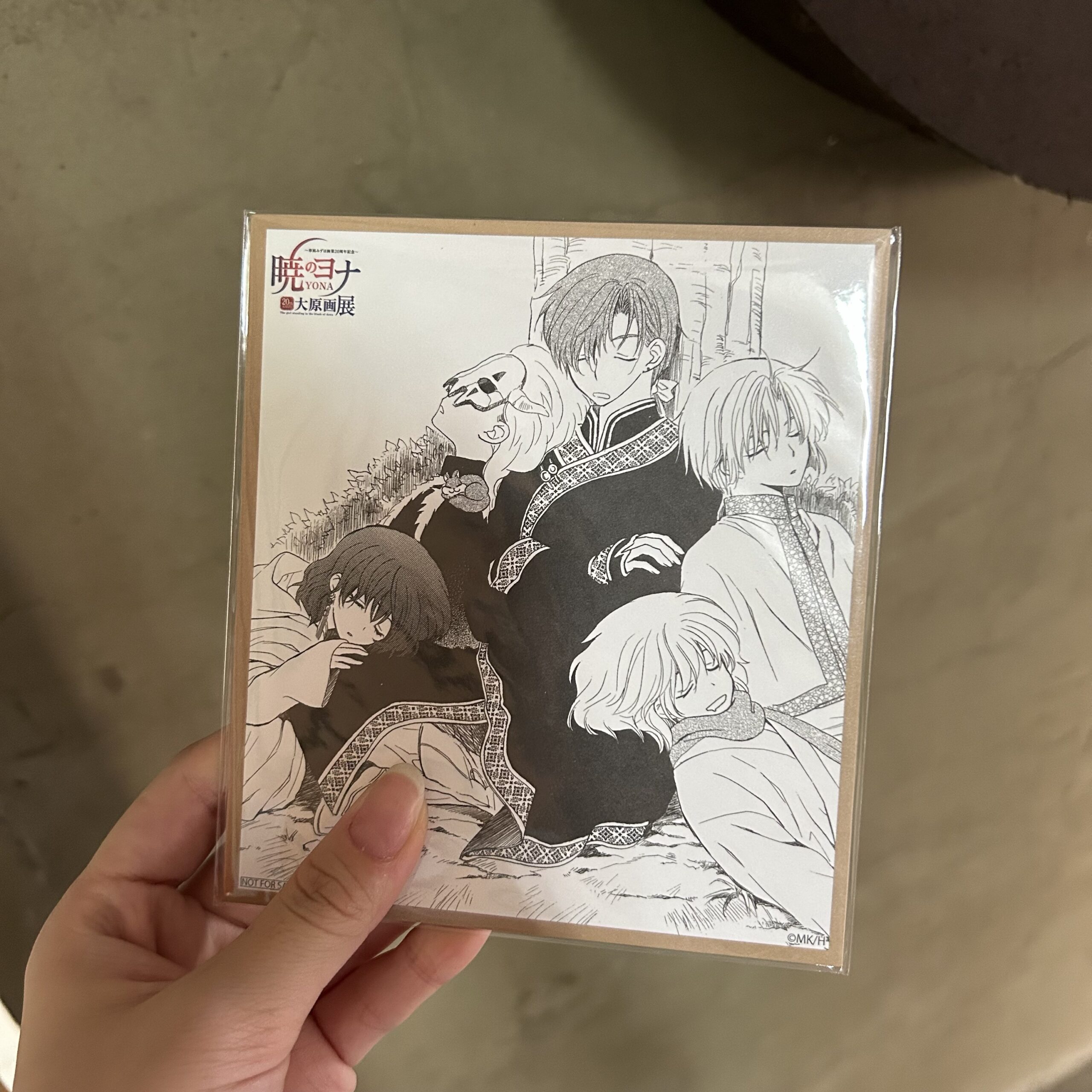 現貨★晨曦公主★原畫展特典-6