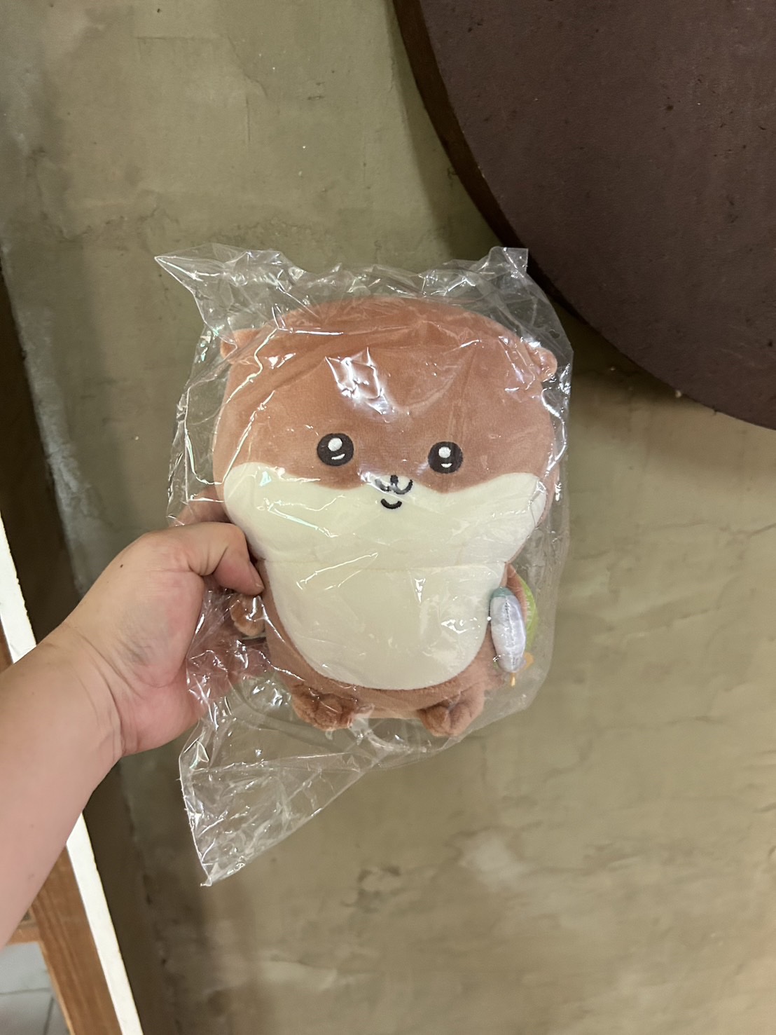 現貨★自嘲熊★海獺一番賞C賞娃娃