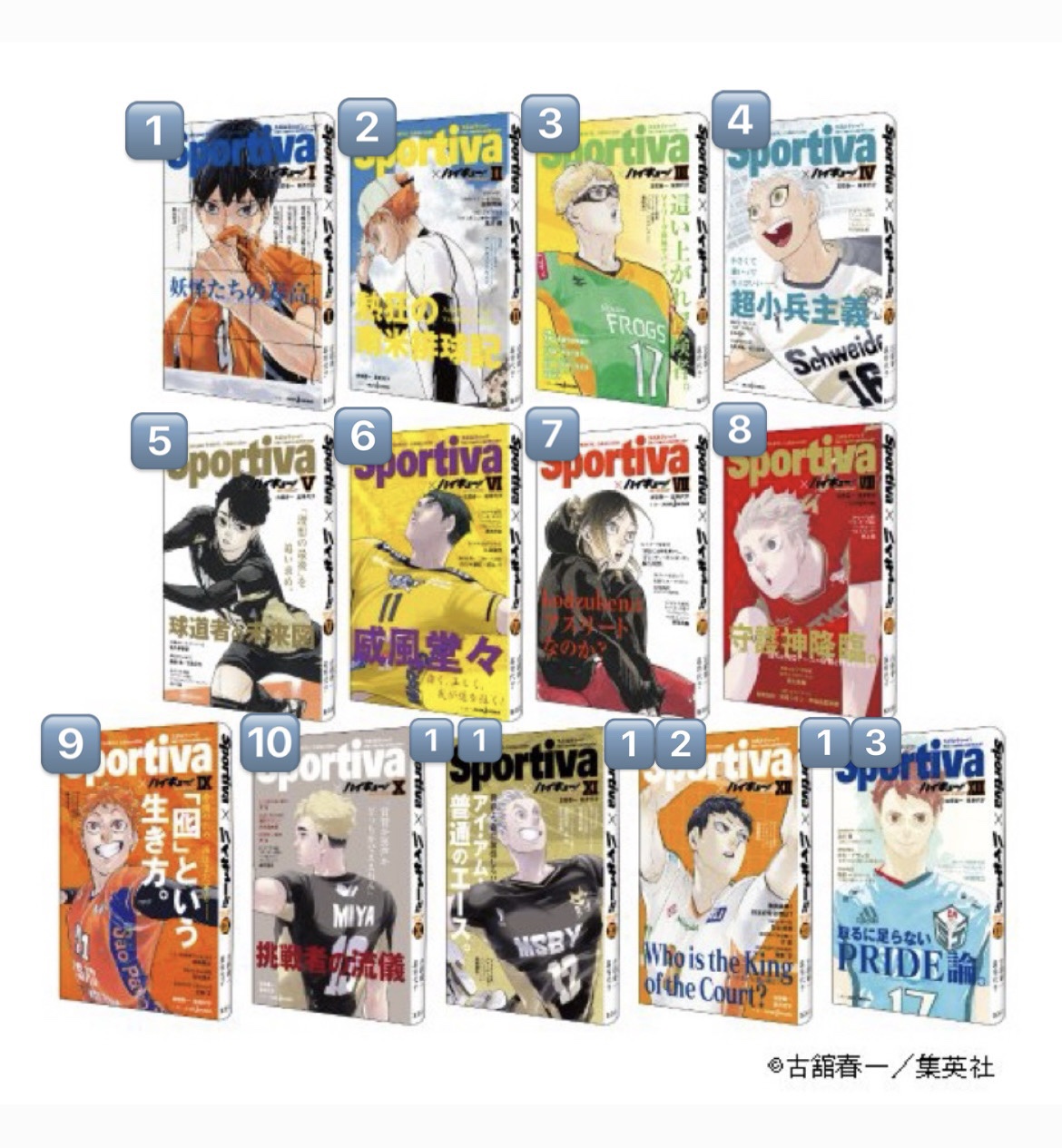 預購一個月到★排球少年★SPORTIVA小說