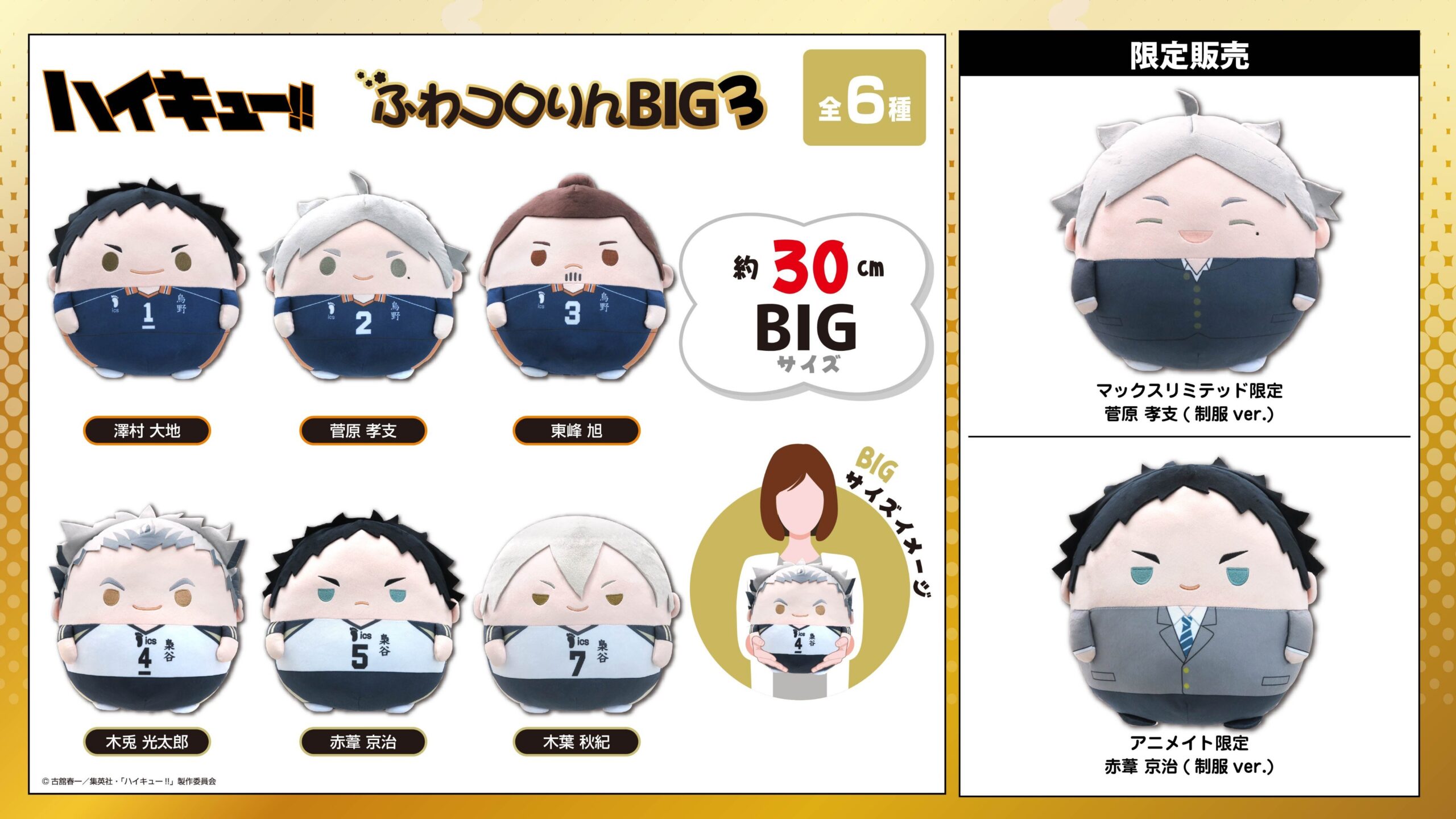 10/20結單★排球少年★圓滾滾BIG娃 第三彈再販