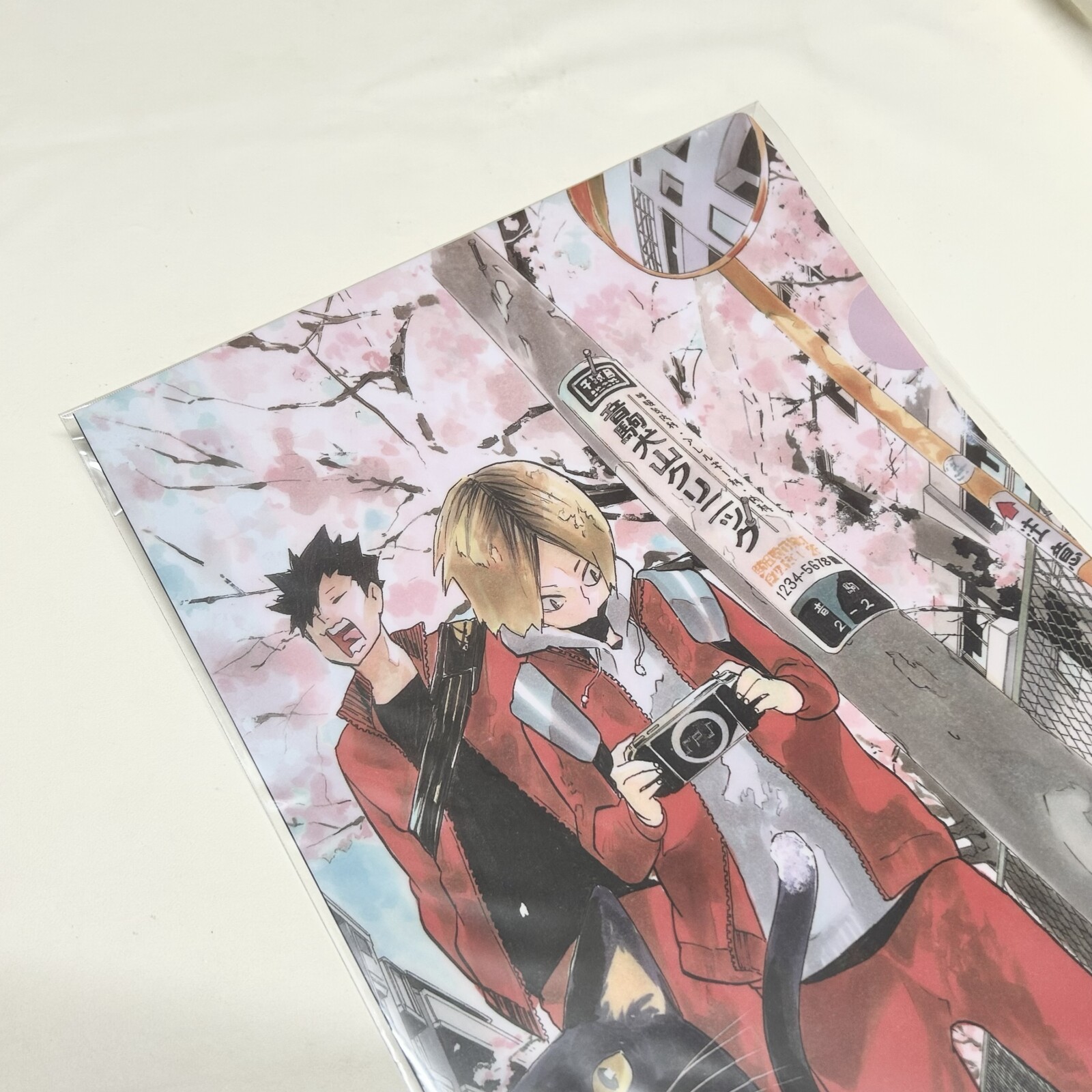 現貨★排球少年★上海JS原畫資料夾/音駒