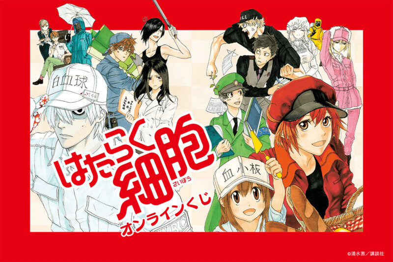 12/20結單★工作細胞★線上一番賞