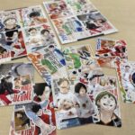 8/5結單★排球少年★FAN PARK事後通販