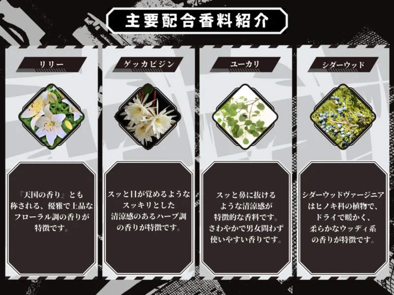 11/1結單★怪獸8號★NOZ COLLABORATION角色印象香水50ml