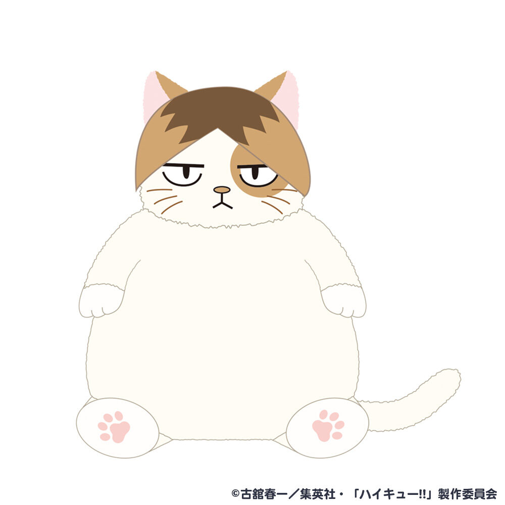 10/20結單★排球少年★TOHO限定貓咪肯定感大毛絨娃