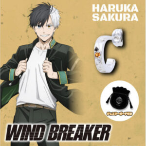 11/25結單★WIND BREAKER★防風少年角色印象寶石耳環