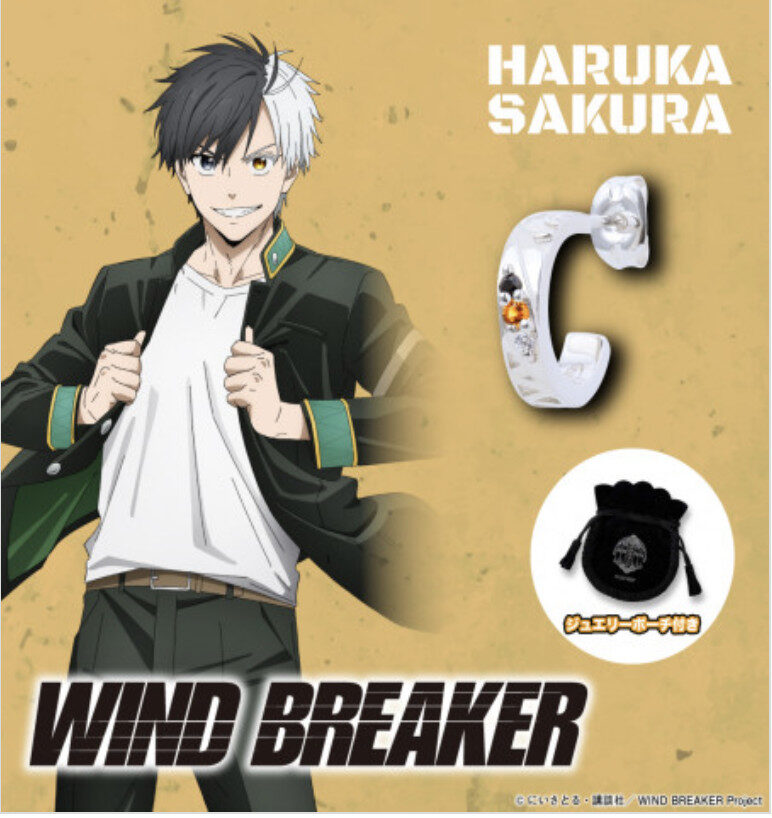 11/25結單★WIND BREAKER★防風少年角色印象寶石耳環