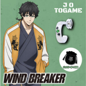 11/25結單★WIND BREAKER★防風少年角色印象寶石耳環