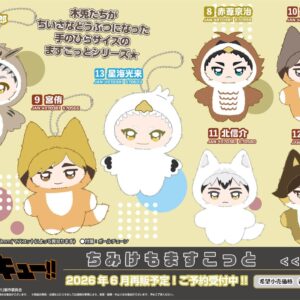 2/13結單★排球少年★動物裝吊飾娃娃vol.1/2/3再販