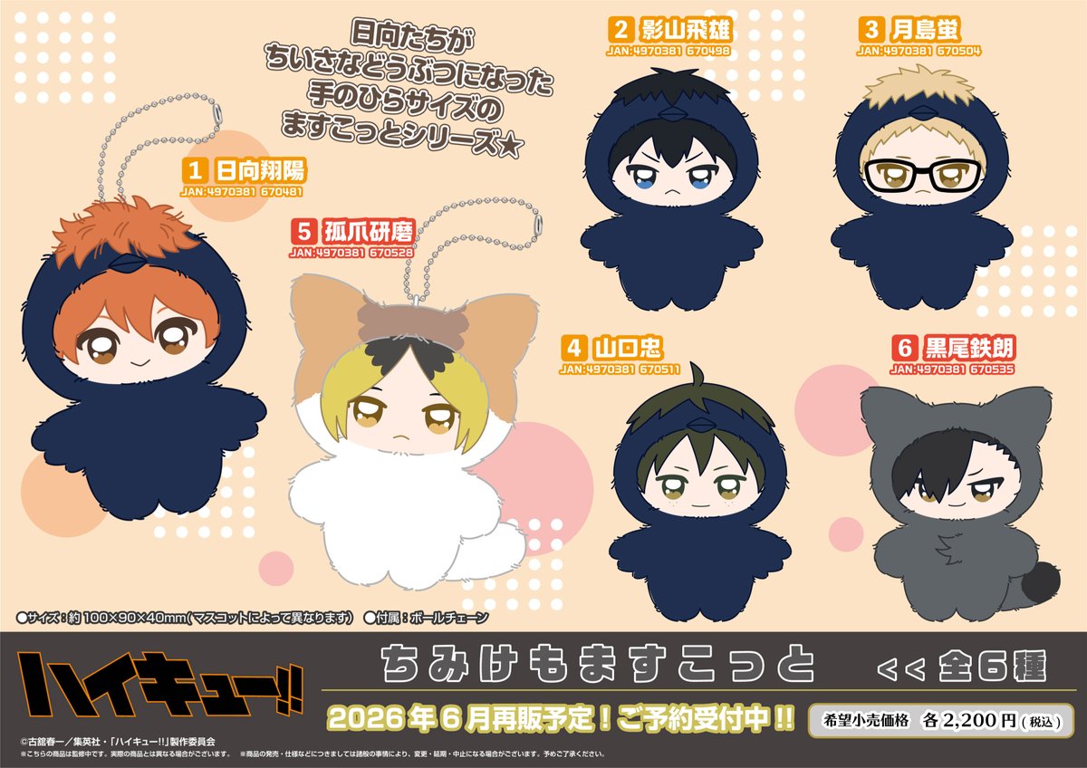 2/13結單★排球少年★動物裝吊飾娃娃vol.1/2/3再販