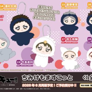 2/13結單★排球少年★動物裝吊飾娃娃vol.1/2/3再販