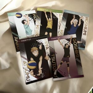 現貨★排球少年★特典明信片一組