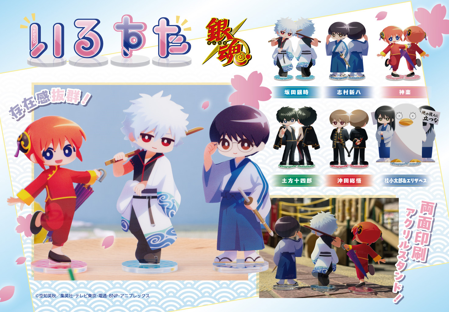 3/15結單★銀魂★いるすた雙面印刷立牌