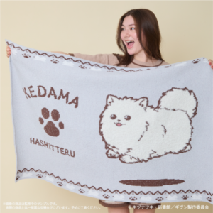7/1結單★GIVEN★被贈與的未來PALUDE居家服飾周邊新品